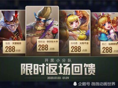 四姐皮肤爆料最新消息,神秘元素揭示,期待值飙升!